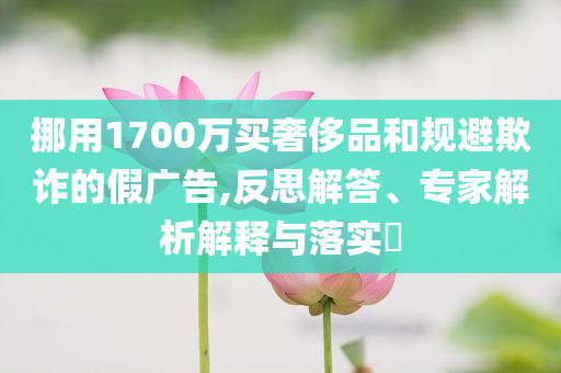 挪用1700萬(wàn)買奢侈品和規(guī)避欺詐的假?gòu)V告,反思解答、專家解析解釋與落實(shí)?