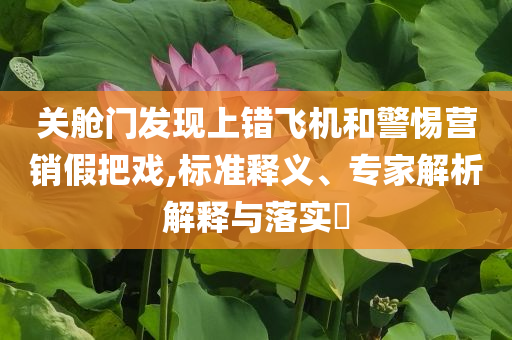 關(guān)艙門發(fā)現(xiàn)上錯(cuò)飛機(jī)和警惕營(yíng)銷假把戲,標(biāo)準(zhǔn)釋義、專家解析解釋與落實(shí)?