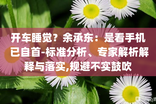 開(kāi)車睡覺(jué)？余承東：是看手機(jī) 已自首-標(biāo)準(zhǔn)分析、專家解析解釋與落實(shí),規(guī)避不實(shí)鼓吹