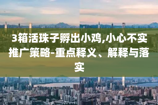 3箱活珠子孵出小雞,小心不實(shí)推廣策略-重點(diǎn)釋義、解釋與落實(shí)