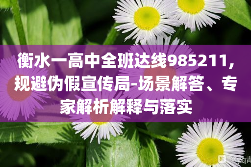 衡水一高中全班達(dá)線985211,規(guī)避偽假宣傳局-場景解答、專家解析解釋與落實(shí)