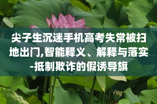 尖子生沉迷手機(jī)高考失常被掃地出門,智能釋義、解釋與落實(shí)-抵制欺詐的假誘導(dǎo)旗