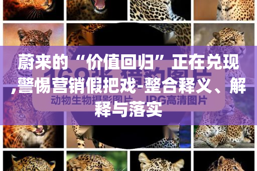 蔚來的“價值回歸”正在兌現(xiàn),警惕營銷假把戲-整合釋義、解釋與落實