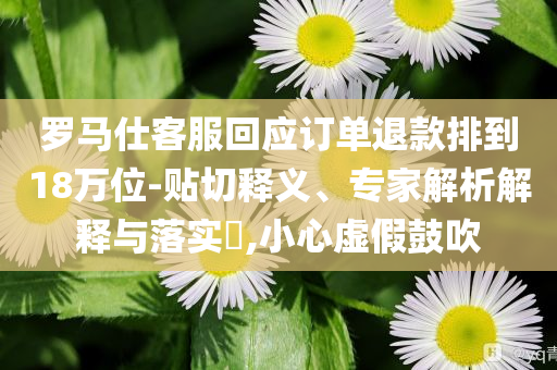 羅馬仕客服回應(yīng)訂單退款排到18萬位-貼切釋義、專家解析解釋與落實?,小心虛假鼓吹