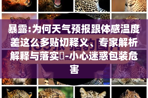 暴露:為何天氣預(yù)報(bào)跟體感溫度差這么多貼切釋義、專家解析解釋與落實(shí)?-小心迷惑包裝危害