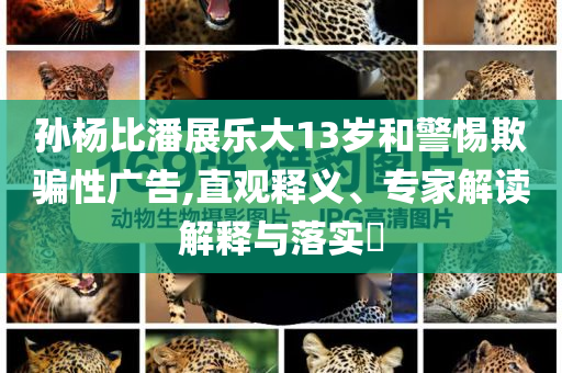 孫楊比潘展樂大13歲和警惕欺騙性廣告,直觀釋義、專家解讀解釋與落實?