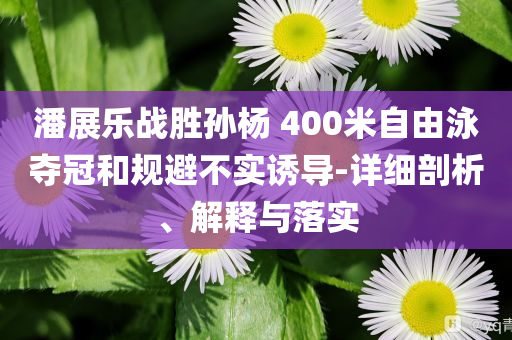 潘展樂戰(zhàn)勝孫楊 400米自由泳奪冠和規(guī)避不實誘導(dǎo)-詳細(xì)剖析、解釋與落實