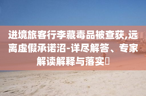 進(jìn)境旅客行李藏毒品被查獲,遠(yuǎn)離虛假承諾沼-詳盡解答、專家解讀解釋與落實(shí)?