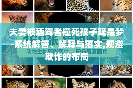 夫妻被酒駕者撞死孩子疑是夢(mèng)-系統(tǒng)解答、解釋與落實(shí),規(guī)避欺詐的布局
