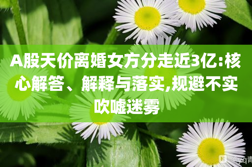 A股天價(jià)離婚女方分走近3億:核心解答、解釋與落實(shí),規(guī)避不實(shí)吹噓迷霧