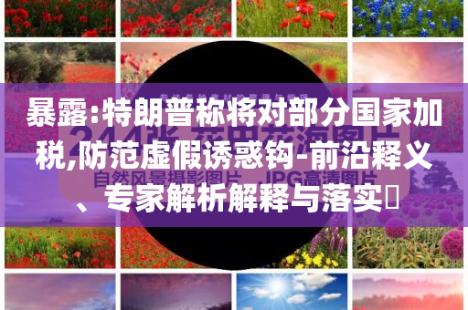 暴露:特朗普稱將對部分國家加稅,防范虛假誘惑鉤-前沿釋義、專家解析解釋與落實?
