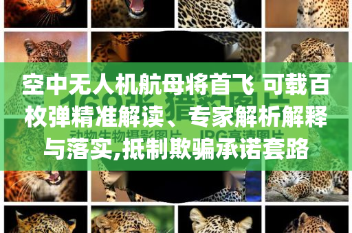 空中無人機航母將首飛 可載百枚彈精準解讀、專家解析解釋與落實,抵制欺騙承諾套路