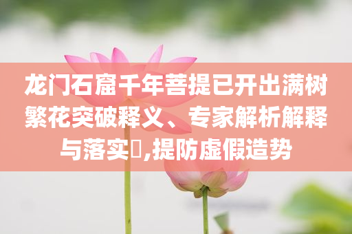 龍門石窟千年菩提已開出滿樹繁花突破釋義、專家解析解釋與落實?,提防虛假造勢