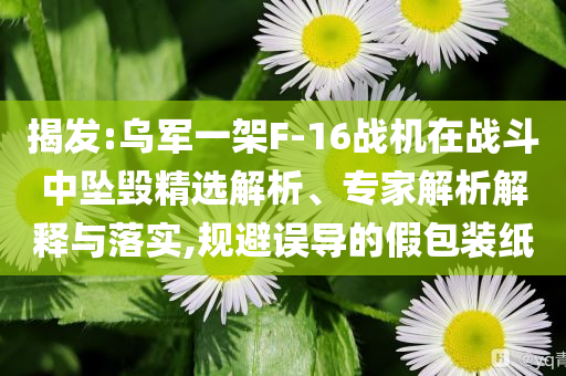 揭發(fā):烏軍一架F-16戰(zhàn)機(jī)在戰(zhàn)斗中墜毀精選解析、專家解析解釋與落實(shí),規(guī)避誤導(dǎo)的假包裝紙