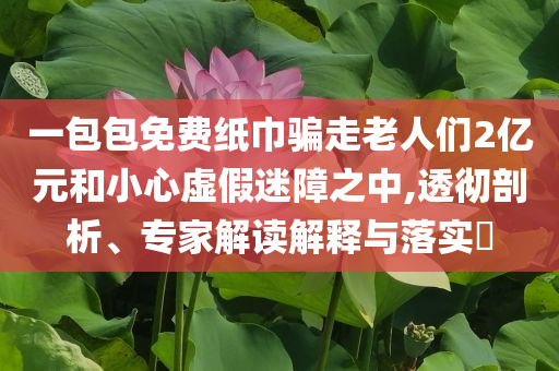 一包包免費(fèi)紙巾騙走老人們2億元和小心虛假迷障之中,透徹剖析、專(zhuān)家解讀解釋與落實(shí)?