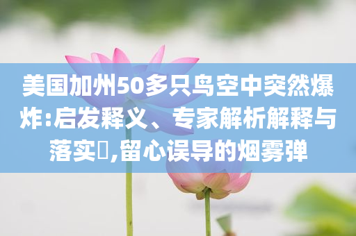 美國加州50多只鳥空中突然爆炸:啟發(fā)釋義、專家解析解釋與落實(shí)?,留心誤導(dǎo)的煙霧彈