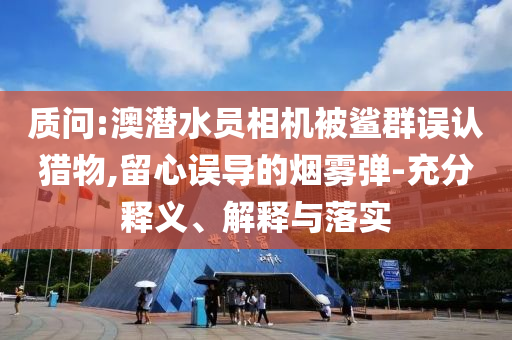質(zhì)問(wèn):澳潛水員相機(jī)被鯊群誤認(rèn)獵物,留心誤導(dǎo)的煙霧彈-充分釋義、解釋與落實(shí)