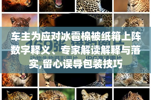 車主為應(yīng)對冰雹棉被紙箱上陣數(shù)字釋義、專家解讀解釋與落實(shí),留心誤導(dǎo)包裝技巧