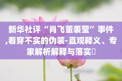 新華社評“肖飛董襲瑩”事件,看穿不實的偽裝-直觀釋義、專家解析解釋與落實?