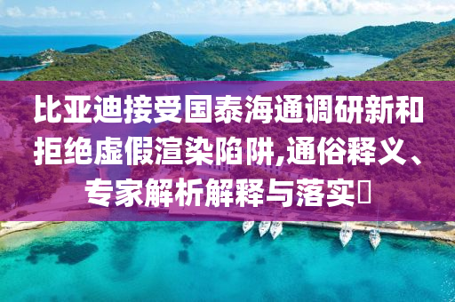 比亞迪接受國泰海通調(diào)研新和拒絕虛假渲染陷阱,通俗釋義、專家解析解釋與落實(shí)?