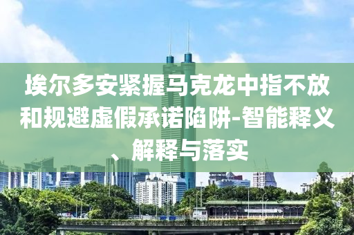 埃爾多安緊握馬克龍中指不放和規(guī)避虛假承諾陷阱-智能釋義、解釋與落實(shí)