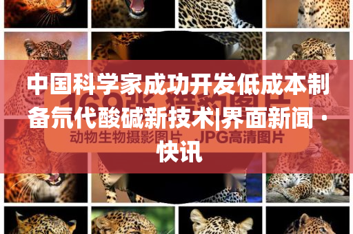 中國(guó)科學(xué)家成功開發(fā)低成本制備氘代酸堿新技術(shù)|界面新聞 · 快訊