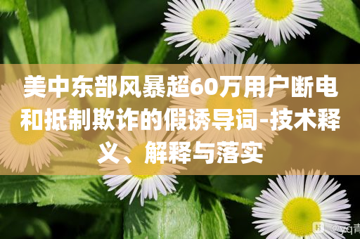 美中東部風暴超60萬用戶斷電和抵制欺詐的假誘導詞-技術(shù)釋義、解釋與落實