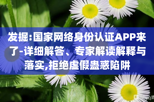 發(fā)掘:國(guó)家網(wǎng)絡(luò)身份認(rèn)證APP來(lái)了-詳細(xì)解答、專(zhuān)家解讀解釋與落實(shí),拒絕虛假蠱惑陷阱