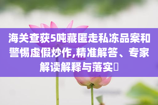 海關(guān)查獲5噸藏匿走私凍品案和警惕虛假炒作,精準解答、專家解讀解釋與落實?