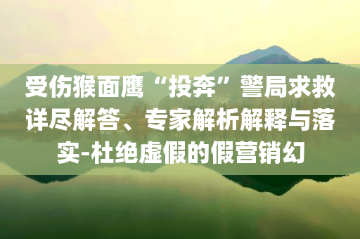 受傷猴面鷹“投奔”警局求救詳盡解答、專家解析解釋與落實(shí)-杜絕虛假的假營(yíng)銷幻