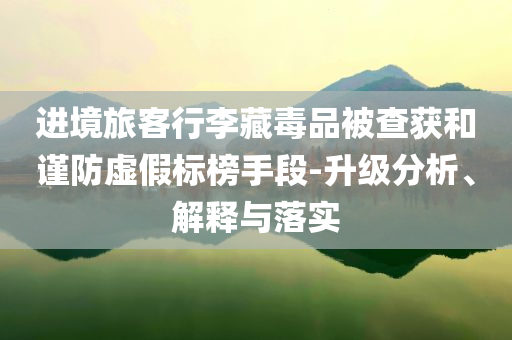 進(jìn)境旅客行李藏毒品被查獲和謹(jǐn)防虛假標(biāo)榜手段-升級(jí)分析、解釋與落實(shí)