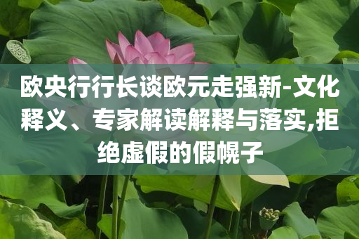 歐央行行長談歐元走強新-文化釋義、專家解讀解釋與落實,拒絕虛假的假幌子