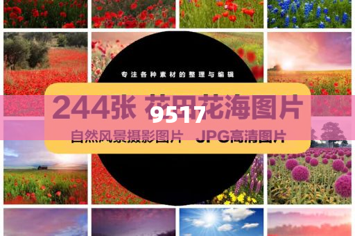 6組數(shù)據(jù)透視中國市場吸引力-閉環(huán)剖析、專家解讀解釋與落實,遠離虛假的假承諾牌