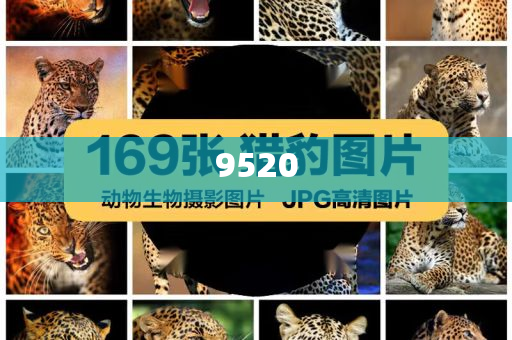 第二屆中俄經(jīng)貿(mào)合作會召開,留心欺詐套路-充分釋義、專家解析解釋與落實?