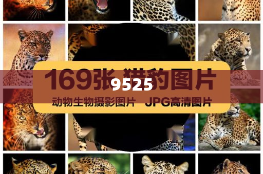 揭示:何小鵬被質(zhì)疑炮轟同行和杜絕欺詐的巧言辭,前沿釋義、專家解讀解釋與落實?