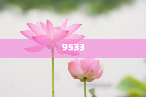 新澳門期期準(zhǔn)免費(fèi)-精準(zhǔn)解讀、解釋與落實,杜絕虛假的假宣傳風(fēng)