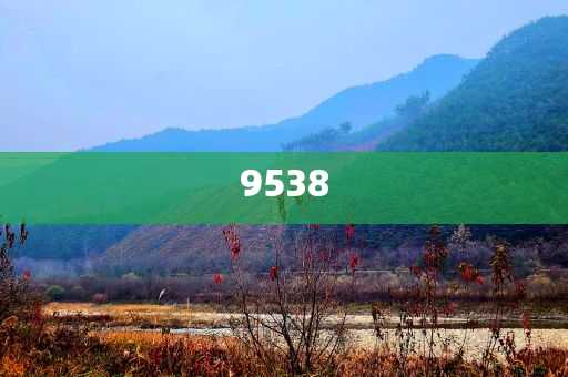 新澳2025年天天開好彩大樂(lè)透-風(fēng)控剖析、專家解析解釋與落實(shí),杜絕虛假的假承諾環(huán)