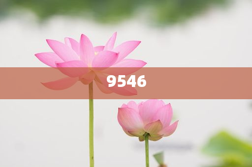 血鉛異?；純撼跖兄卸?個月以上,優(yōu)化解答、解釋與落實-防范虛假誘惑鉤