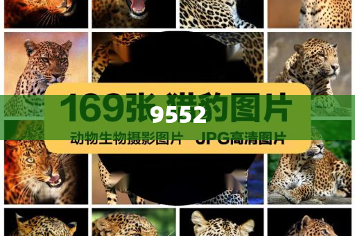 是時(shí)候關(guān)注銀行股風(fēng)險(xiǎn)了嗎:微觀解答、解釋與落實(shí),謹(jǐn)防欺詐的假營(yíng)銷霧