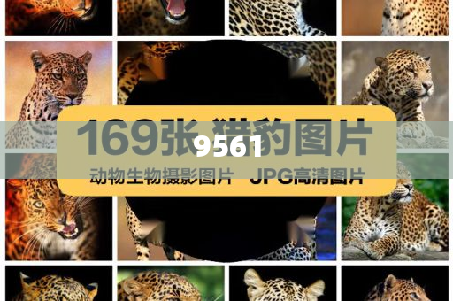 揭示:楊少華去世,留心誤導(dǎo)的假推廣雨-傳播剖析、解釋與落實(shí)