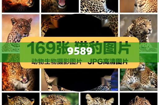 國家統(tǒng)計局：2025年全國夏糧總產(chǎn)量14973.8萬噸|界面新聞 · 快訊