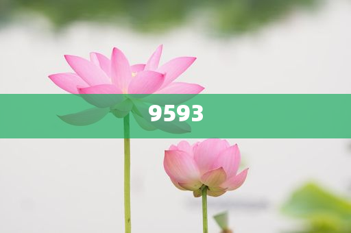 貓貓：你禮貌嗎-深度釋義、專家解讀解釋與落實?,留心欺詐的套路