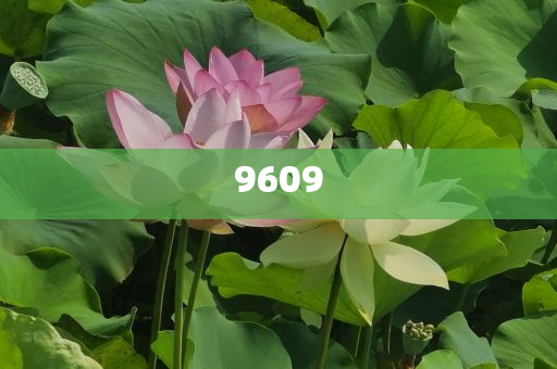 揭示:專家：中國(guó)企業(yè)全球化唯有“三去”智能釋義、專家解析解釋與落實(shí)?,小心誤導(dǎo)宣傳風(fēng)險(xiǎn)