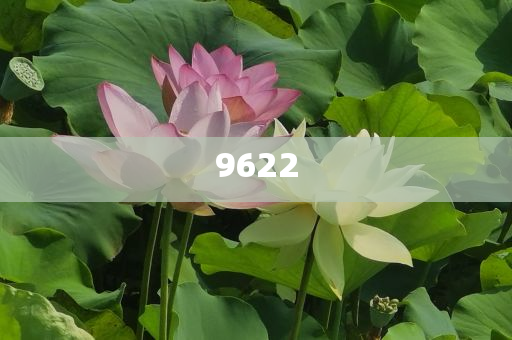 尹錫悅或?qū)ⅰ袄蔚鬃?標(biāo)準(zhǔn)釋義、專家解讀解釋與落實-拒絕虛假蠱惑陷阱
